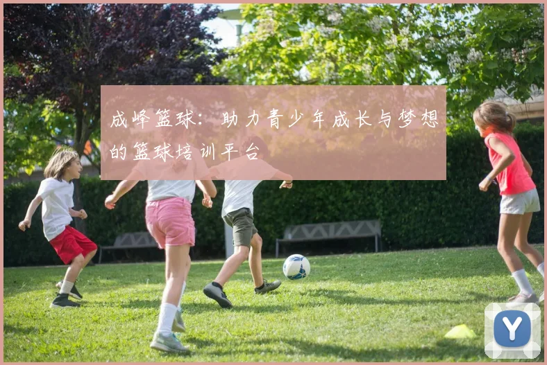 成峰篮球：助力青少年成长与梦想的篮球培训平台