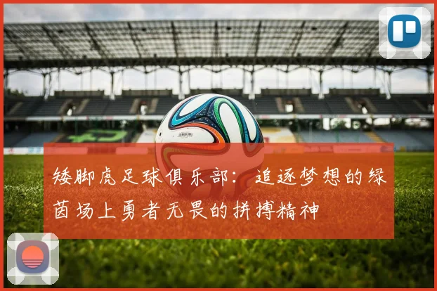 矮脚虎足球俱乐部：追逐梦想的绿茵场上勇者无畏的拼搏精神