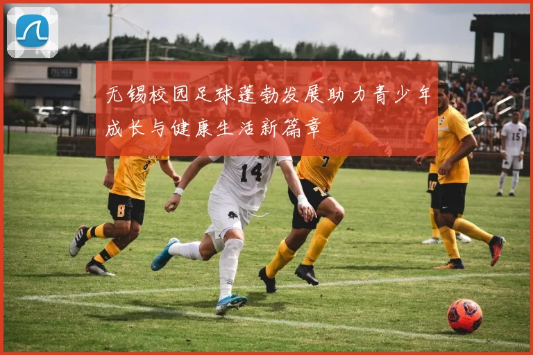 无锡校园足球蓬勃发展助力青少年成长与健康生活新篇章