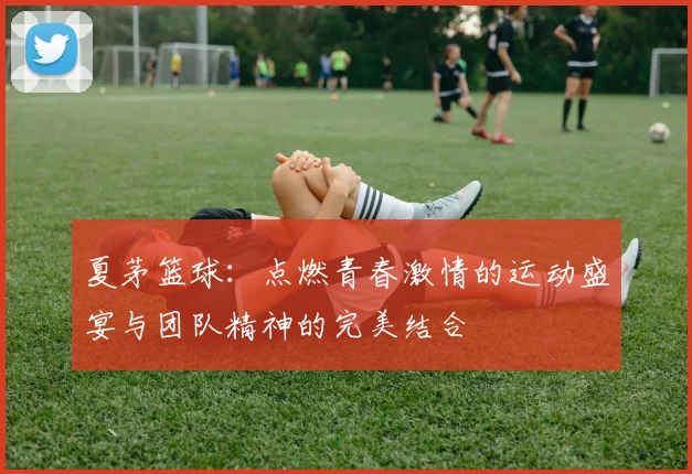 夏茅篮球：点燃青春激情的运动盛宴与团队精神的完美结合