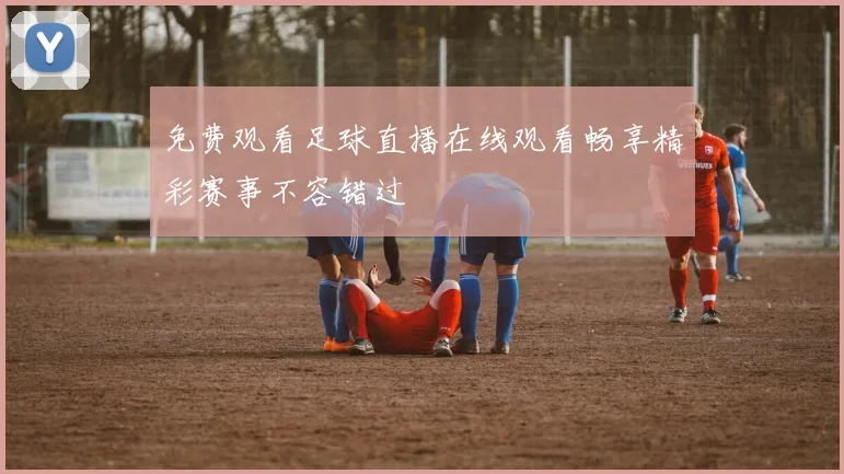免费观看足球直播在线观看畅享精彩赛事不容错过